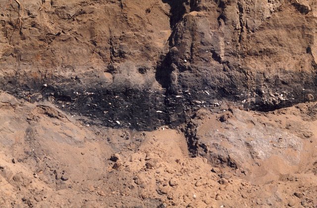 Kitchen midden of the Boonwurrung people