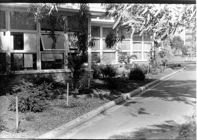 Newlands Primary School Number 1951