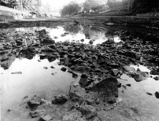 Coburg Lake Reserve