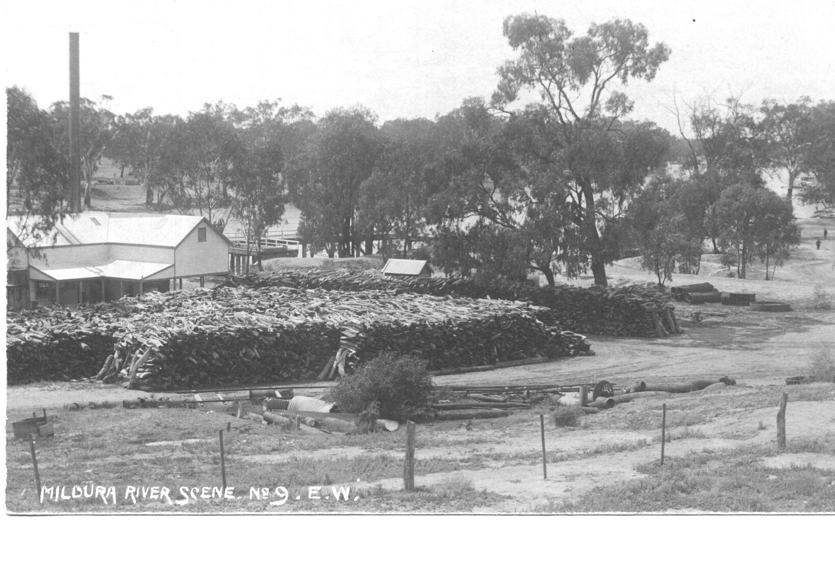 Murray River scene, Mildura.