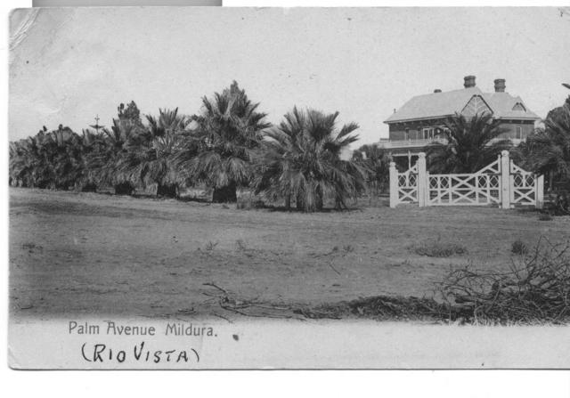 Palm Avenue Rio Vista, Mildura.