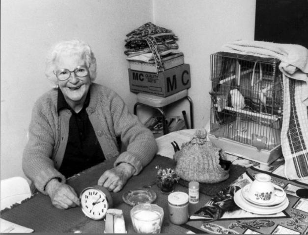 Lady at dining room table