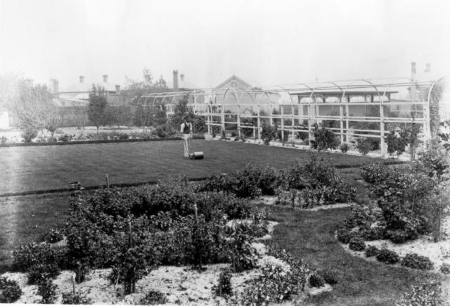 12 North Terrace - side garden